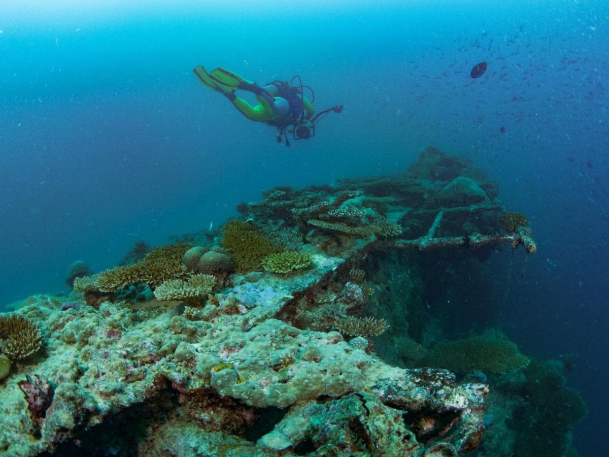 British Royalty Wreck